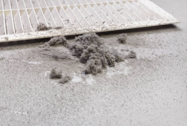 Best Air Duct Inspection  in Port Jefferson, NY