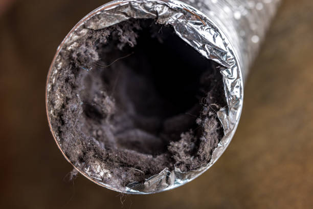 Best Residential Air Duct Cleaning  in Port Jefferson, NY